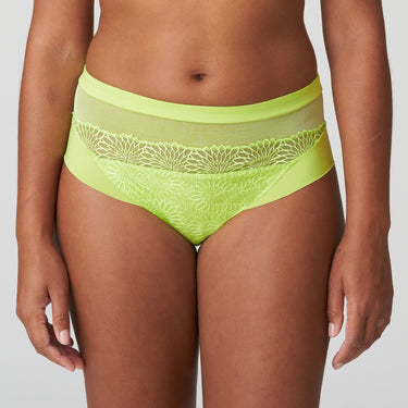 Sophora high briefs