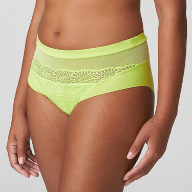 Sophora high briefs