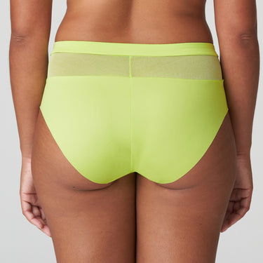 Sophora high briefs