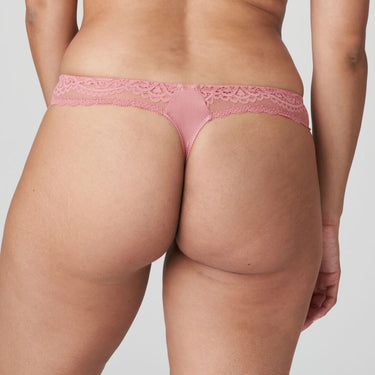 PrimaDonna Twist I Do string sunset melba 3