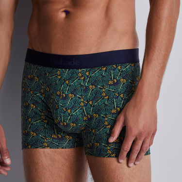 Aubade AubadeMen boxer herre-shorts 2 stk green life Grøn 3