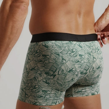Aubade AubadeMen Boxer herre-shorts green palm Grøn 3